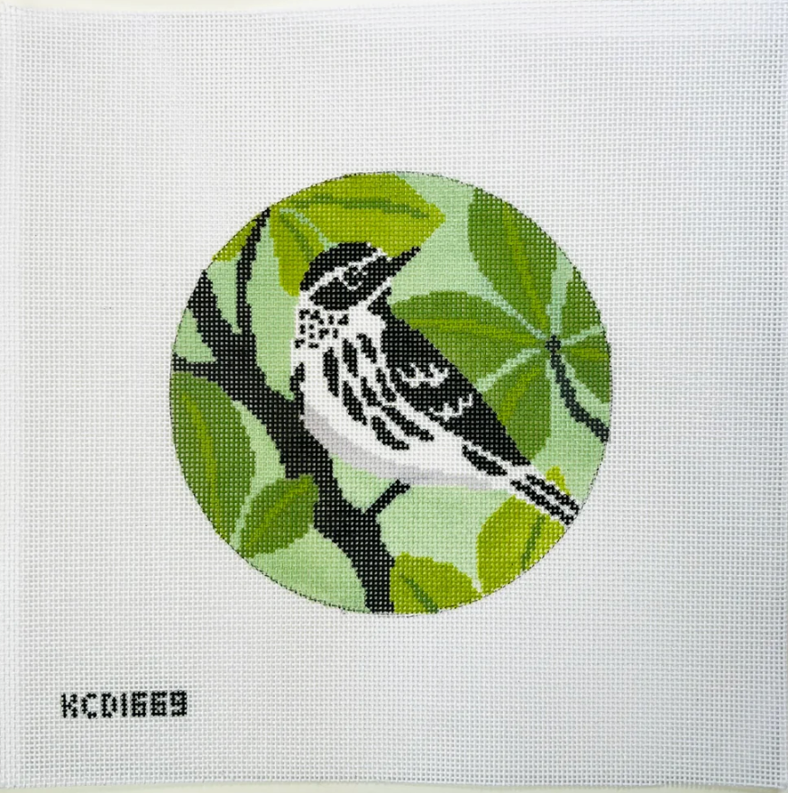 Black and White Warbler