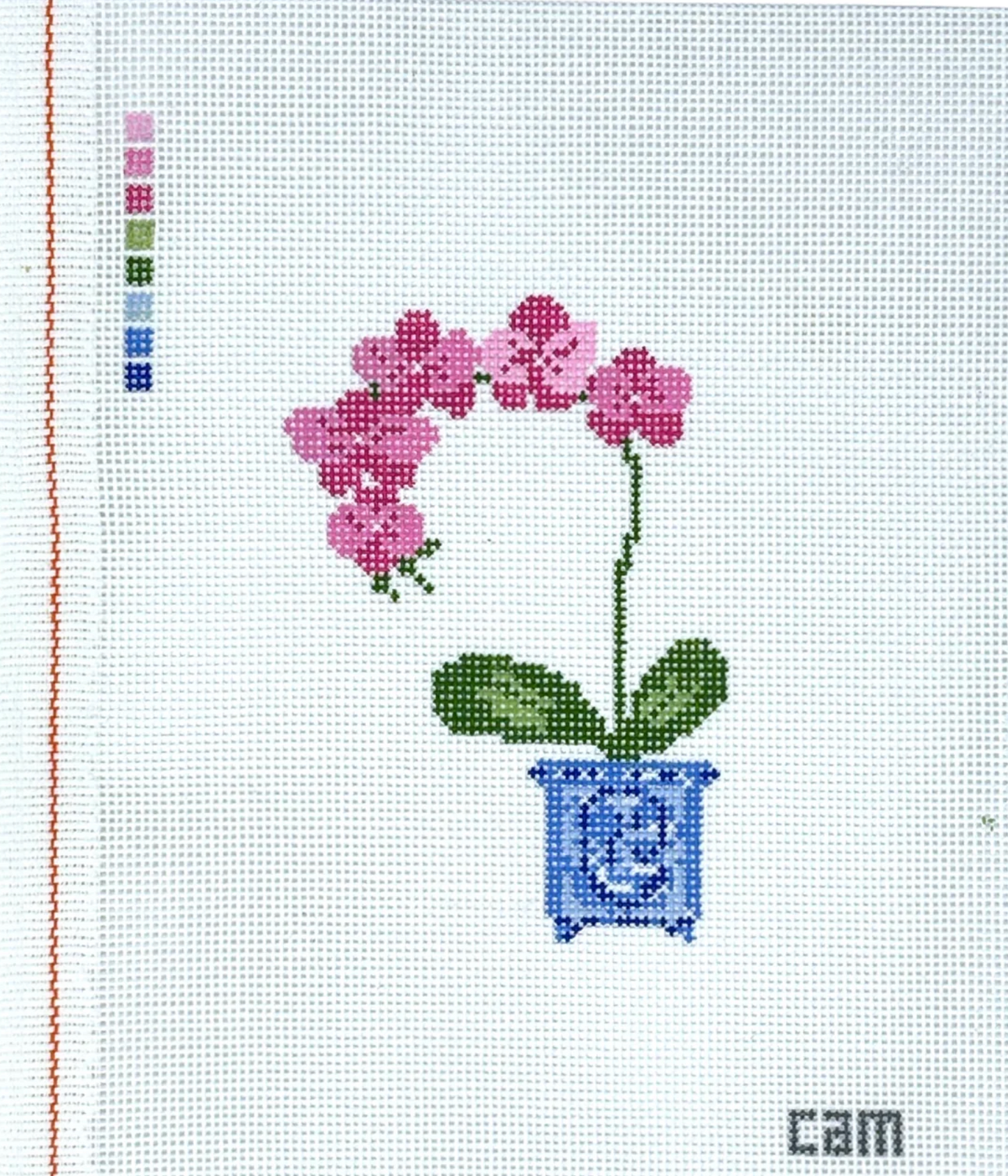 Orchid Canvas