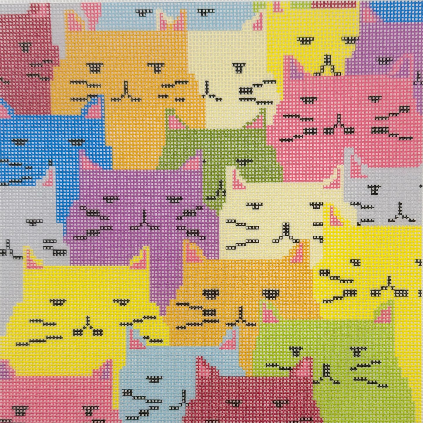 Cats and More Cats