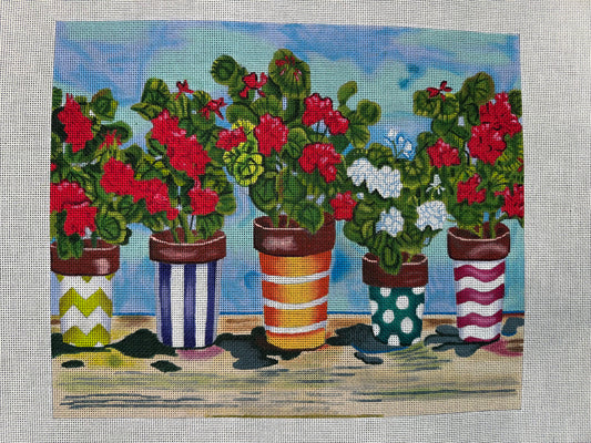 Fancy Pots Geranium