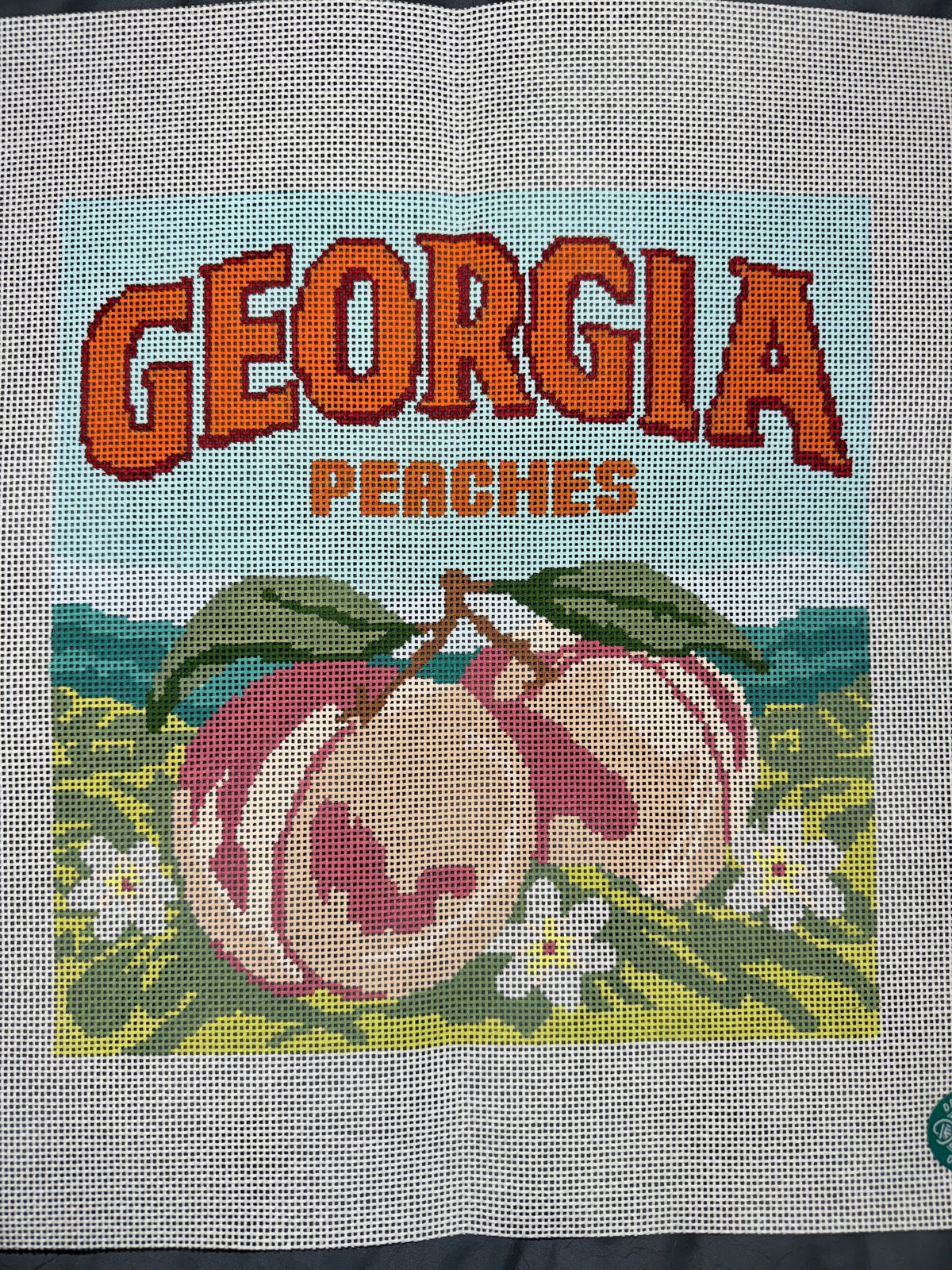 Georgia Peaches Pillow