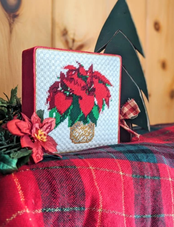 Poinsettia