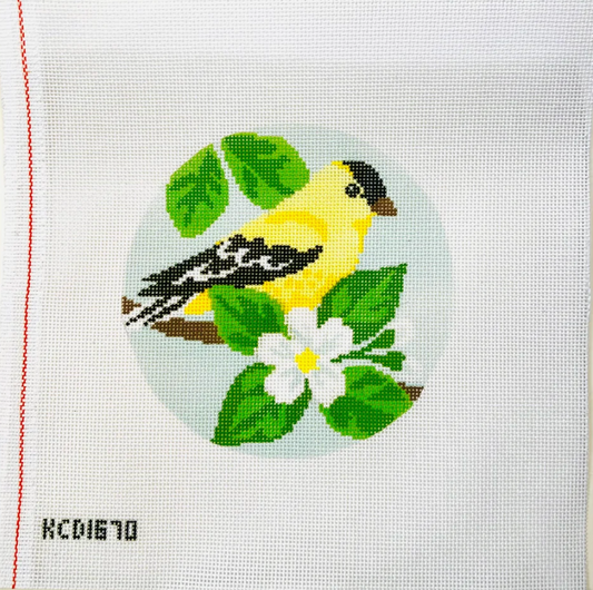 Gold Finch